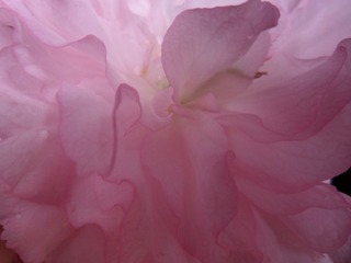 230BE1D4-686A-4DFF-A792-7BBFC0DFC13F/L0/001