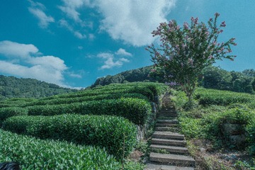 16D5B5D1-D806-412D-9F4E-4212B01647C0/L0/001