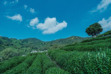 D14E1ED3-4390-40A8-BD0C-07157A681A90/L0/001