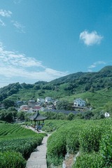570BF081-3DEA-4CA3-BB3C-4A54A13C49F7/L0/001