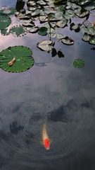 AA7F7B26-D524-4228-AE0F-707A938B6DA0/L0/001