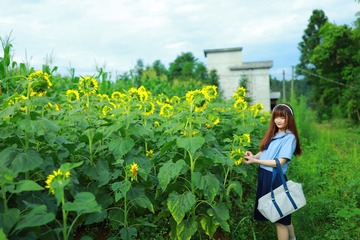E6F39052-9BB7-4BE3-BD50-A2CA60B69911/L0/001