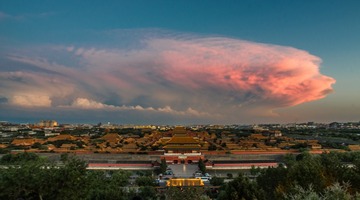 _ZHM9876-1