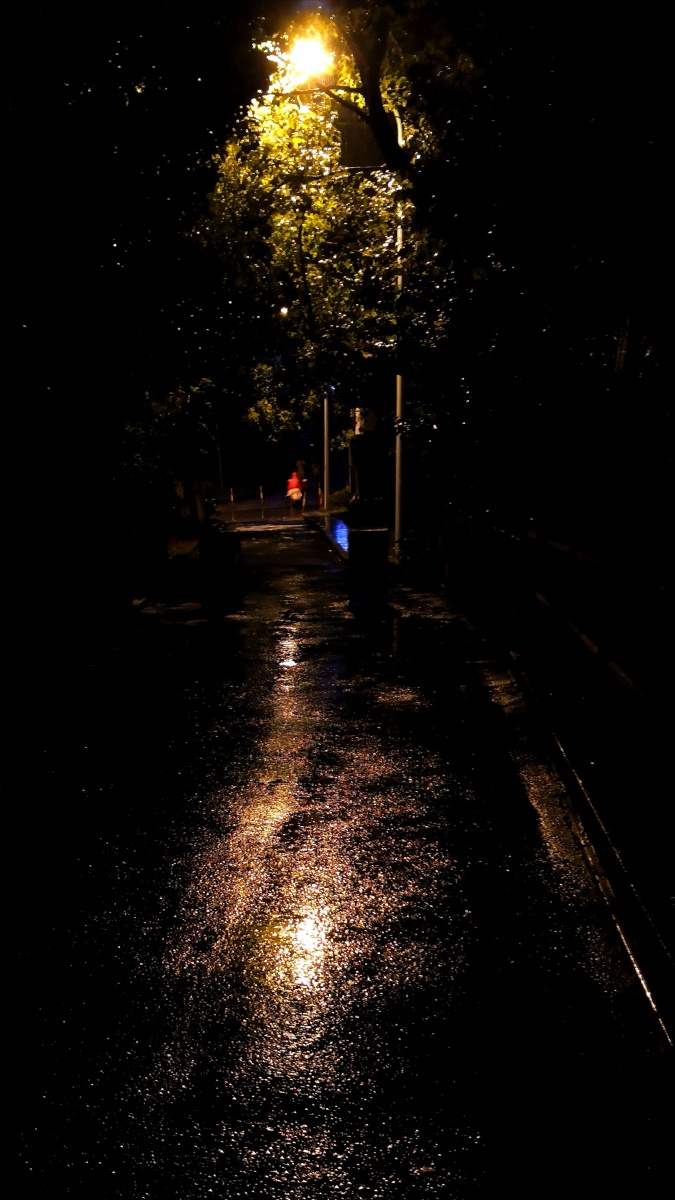 雨路