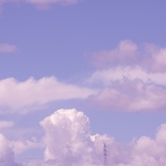 978813