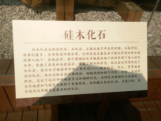1700375