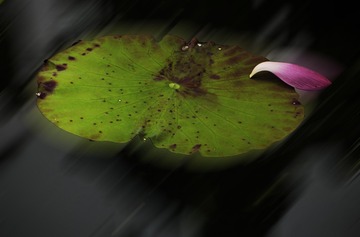 _MG_2946.jpg-小