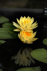 _MG_2876.jpg-小