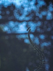 2652880