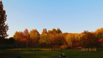 D5CF5FA9-0CC0-452B-8099-ED26254A196A/L0/001
