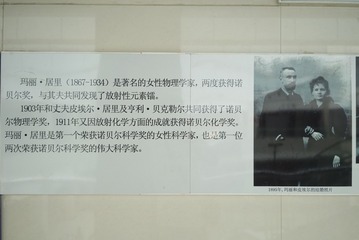 2296781