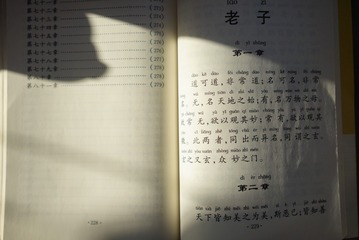 2668638