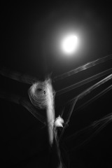2057621