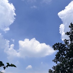 DD090581-DF3B-4F67-9DEE-C58BF6D1D45E/L0/001