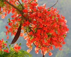 IMG_20160724_152815