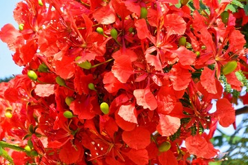IMG_20160724_152754