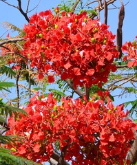 IMG_20160724_152713