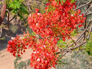 IMG_20160724_152555