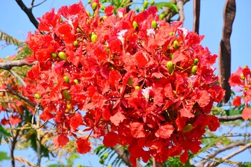 IMG_20160724_152520
