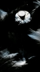 20160711_182956-02