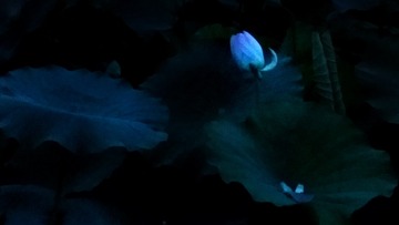 20160711_200506-01
