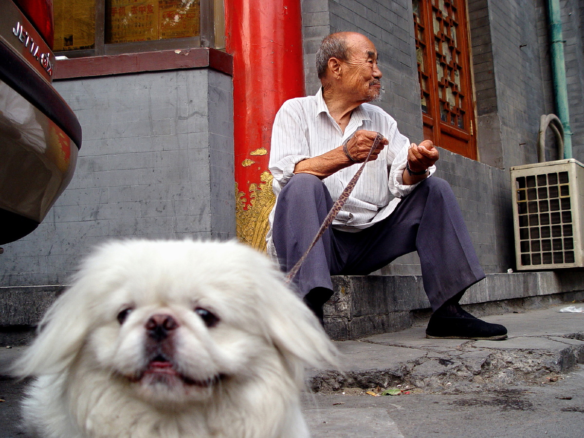 歇脚的遛狗老人.
