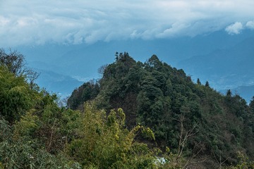 1000166676