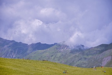 1000016702