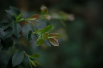 1000178111