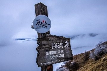 1000138780