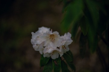 1000174544