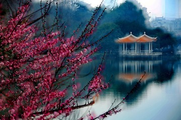 IMG_0309_dh