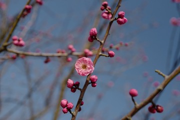 001