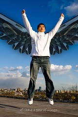 if I have a pair wings
