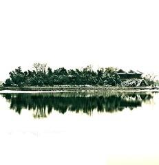 湖中岛