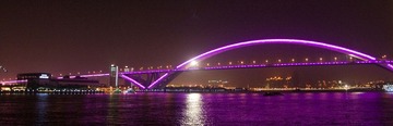 卢浦大桥