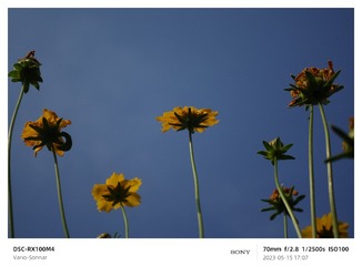 CB7F8144-CB02-429E-9719-D41758D5F66D/L0/001