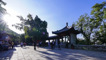 _DSC5504