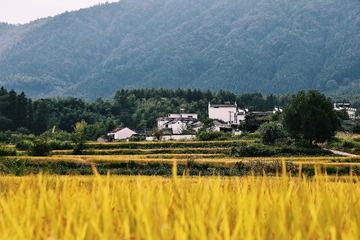 19EF4C72-D345-49FB-A088-B6D3FD73A91C/L0/001