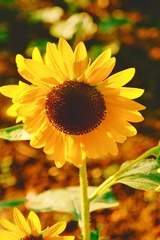 2F61C0C9-A5A7-414F-984C-7771D5551708/L0/001