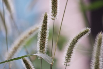 F089F037-0974-49EA-82F2-7D3973E62779/L0/001