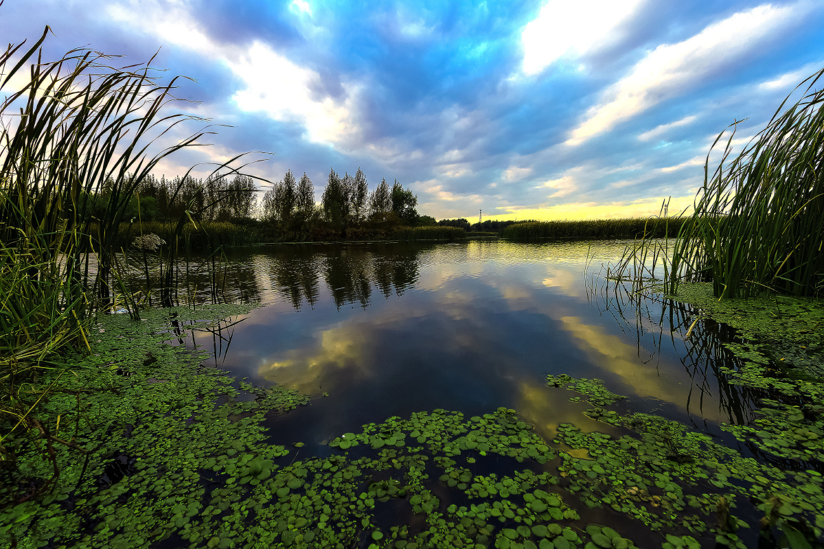 这是长春市北四环雁鸣湖小区的外景,小区不大,景色可人.