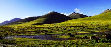 高山之晨