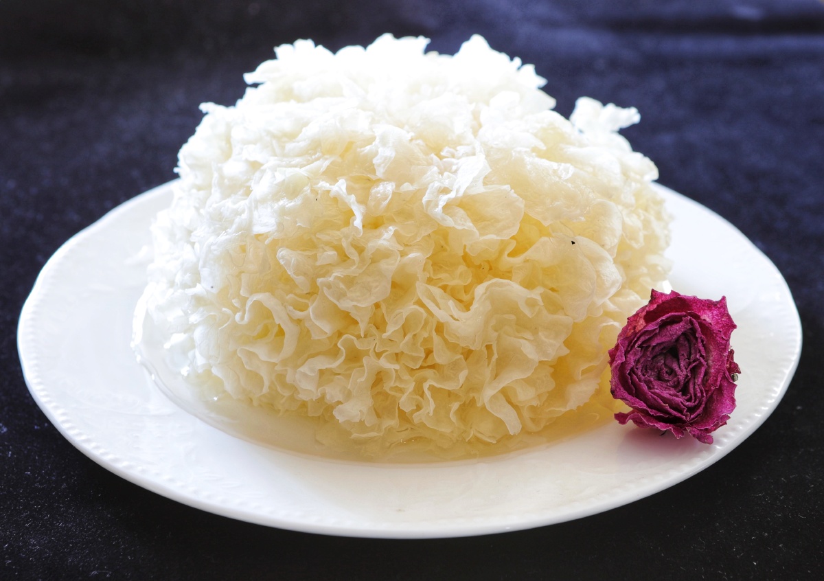 一朵泡发的银耳 - fjc老方摄影 - 图虫