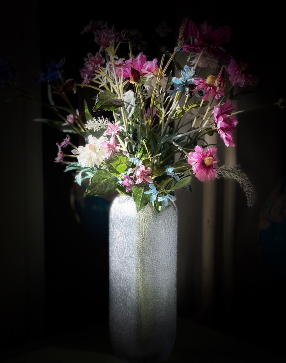 阳光瓶花手机摄影