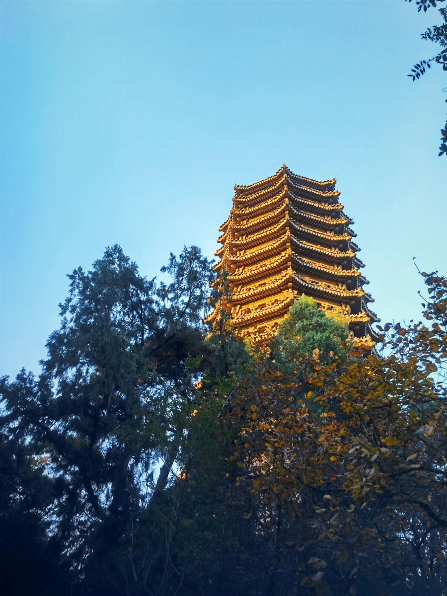 北大博雅塔美美哒