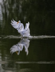 751