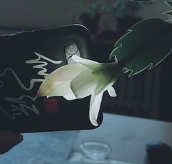 240237
