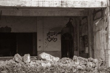 19956