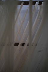 24517D1E-1907-46E5-818A-E4C9D75A4B6C/L0/001